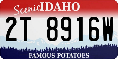 ID license plate 2T8916W