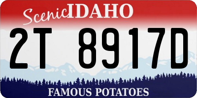 ID license plate 2T8917D