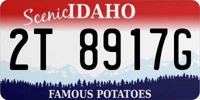 ID license plate 2T8917G