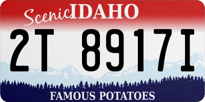 ID license plate 2T8917I