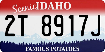 ID license plate 2T8917J