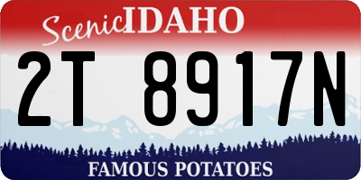 ID license plate 2T8917N