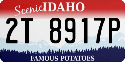 ID license plate 2T8917P