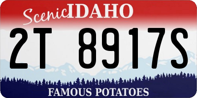 ID license plate 2T8917S