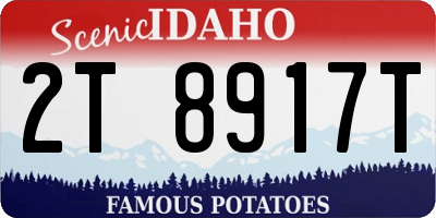 ID license plate 2T8917T