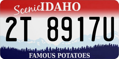 ID license plate 2T8917U