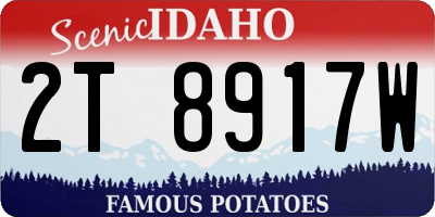 ID license plate 2T8917W