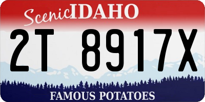 ID license plate 2T8917X