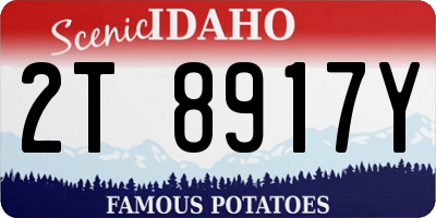 ID license plate 2T8917Y