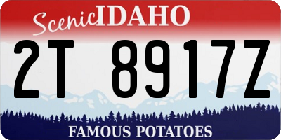 ID license plate 2T8917Z