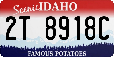 ID license plate 2T8918C