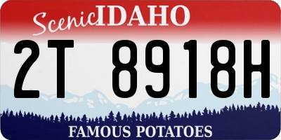 ID license plate 2T8918H