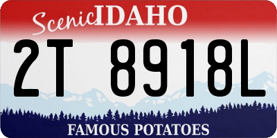 ID license plate 2T8918L