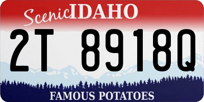 ID license plate 2T8918Q
