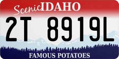 ID license plate 2T8919L
