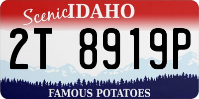 ID license plate 2T8919P