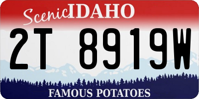 ID license plate 2T8919W