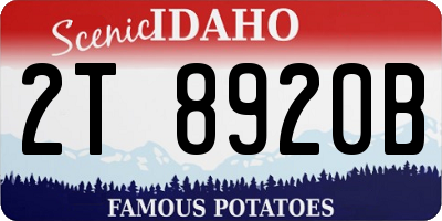 ID license plate 2T8920B