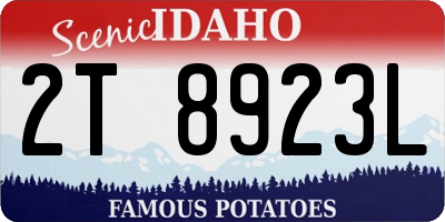 ID license plate 2T8923L