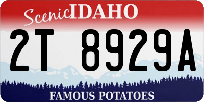 ID license plate 2T8929A