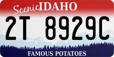 ID license plate 2T8929C