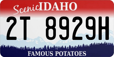 ID license plate 2T8929H