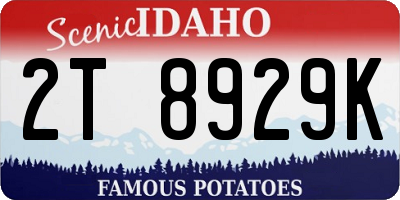 ID license plate 2T8929K
