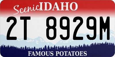 ID license plate 2T8929M