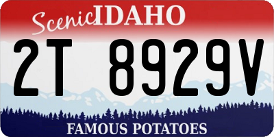 ID license plate 2T8929V