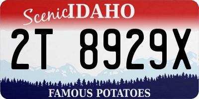 ID license plate 2T8929X