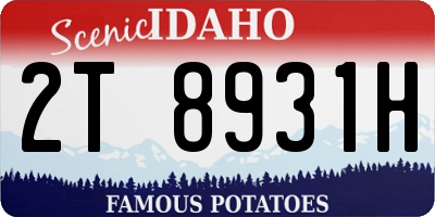 ID license plate 2T8931H