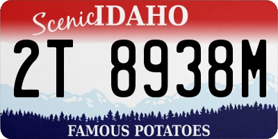ID license plate 2T8938M
