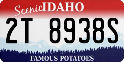 ID license plate 2T8938S
