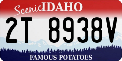 ID license plate 2T8938V