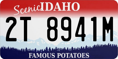ID license plate 2T8941M