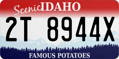 ID license plate 2T8944X