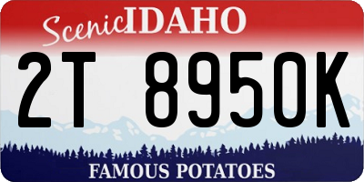 ID license plate 2T8950K