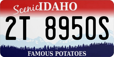 ID license plate 2T8950S