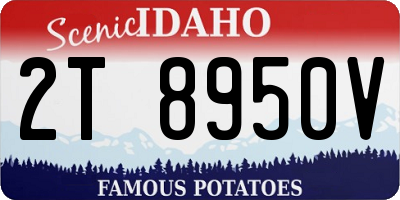 ID license plate 2T8950V