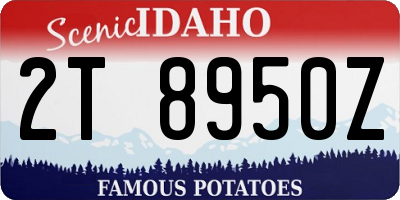 ID license plate 2T8950Z