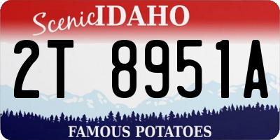 ID license plate 2T8951A