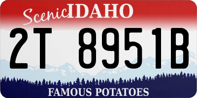 ID license plate 2T8951B