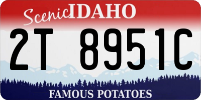 ID license plate 2T8951C