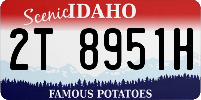 ID license plate 2T8951H