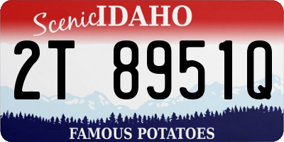 ID license plate 2T8951Q