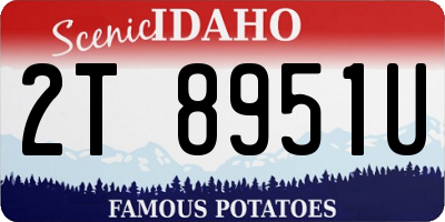 ID license plate 2T8951U