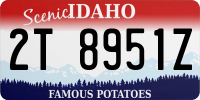 ID license plate 2T8951Z