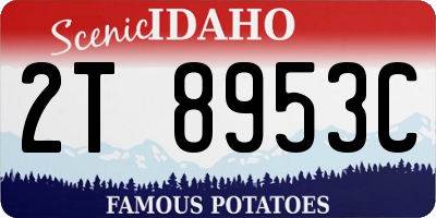 ID license plate 2T8953C