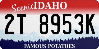 ID license plate 2T8953K