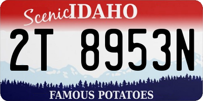 ID license plate 2T8953N